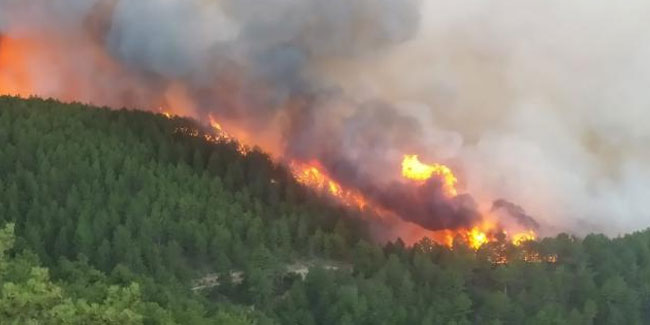 Kütahya'da orman yangını: Müdahale ediliyor