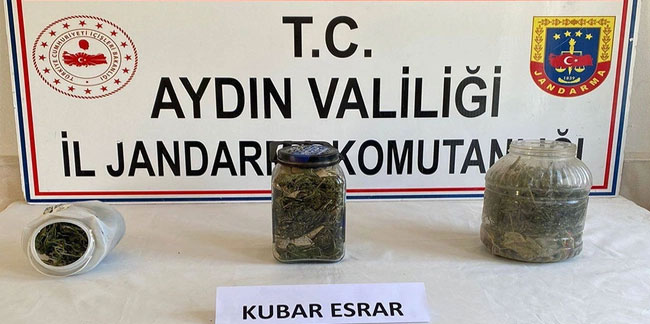 Aydın'da Jandarmadan uyuşturucu operasyonu!