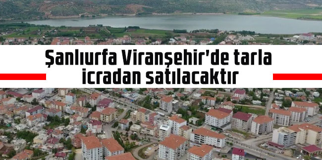 Şanlıurfa Viranşehir'de tarla icradan satılacaktır