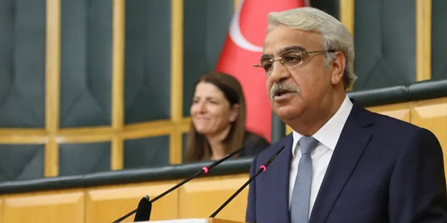 HDP cumhurbaşkanı adaylığı için kararını açıkladı