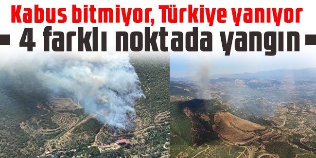 Kabus bitmiyor, Türkiye yanıyor: 4 farklı noktada yangın