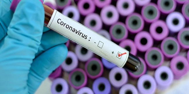 Belçikalı bilim insanları coronavirüsü etkisiz hale getirebildiklerini açıkladı