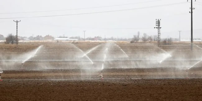 Kuraklık çiftçiyi olumsuz etkilide: Kış ortasında sulama başladı