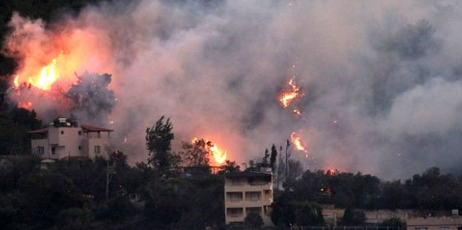 Bu sefer Hatay yanıyor: Antakya'da orman yangını çıktı