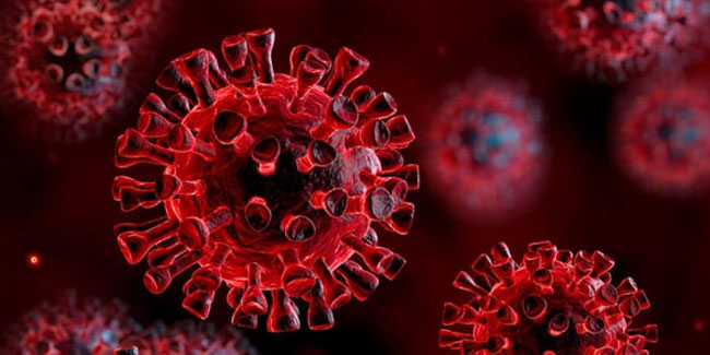 Bilim Kurulu koronavirüs rehberini güncelledi! İşte yeni ayrıntılar...