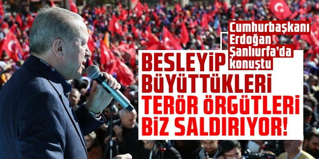 Cumhurbaşkanı Erdoğan: Sınırlarımız ötesinde besleyip büyüttükleri terör örgütleri bize saldırıyor