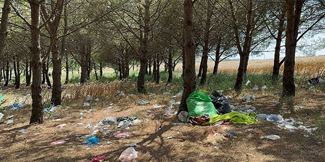 İstanbul’da piknikçilerden geriye çöp yığını kaldı!