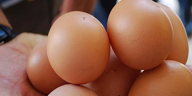 Yumurta fiyatları uçtu! Rusya, Türkiye’den vergisiz yumurta ithal edecek