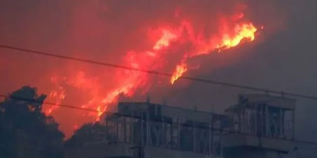 Milas'ta yeniden kırmızı alarm: Alevler termik santrale ilerliyor