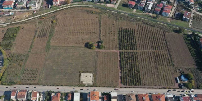 Türkiye’nin ilk “meyve” temalı millet bahçesi yapılıyor