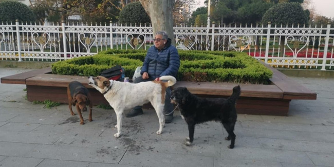 Yasağa rağmen sokağa çıktı: Köpeklerimi beslemek için çıktım