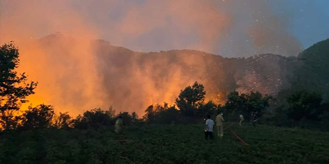Mersin'de orman yangını kontrol altına alındı
