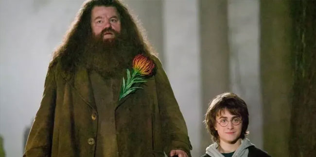 Hagrid hayatını kaybetti