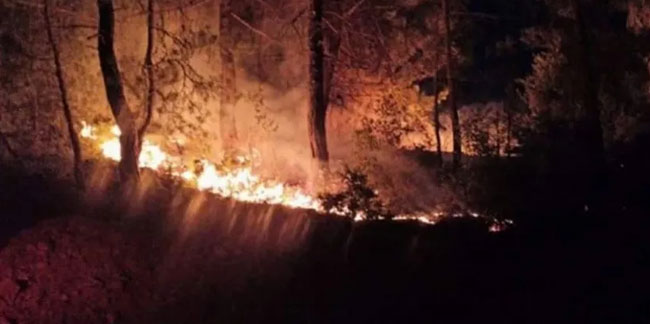 6 noktada çıkan orman yangınlarıyla ilgili bir kişi tutuklandı