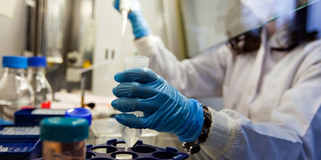 Bilim insanları yeni aşamaya geçti! Kanser ve HIV için umut olacak