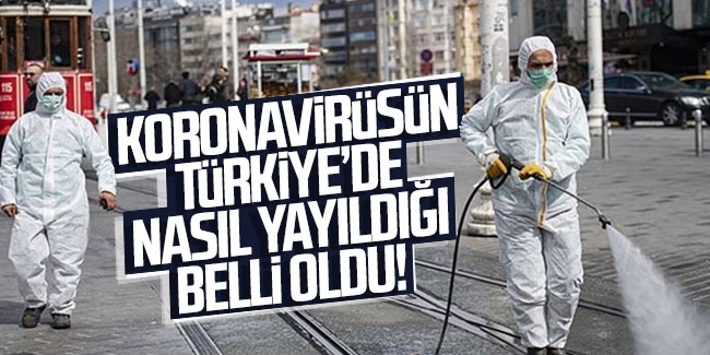 Koronavirüsün Türkiye'de nasıl yayıldığı belli oldu!