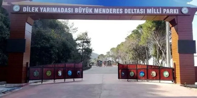 Milli parkta rüşvet iddialarına 28 gözaltı