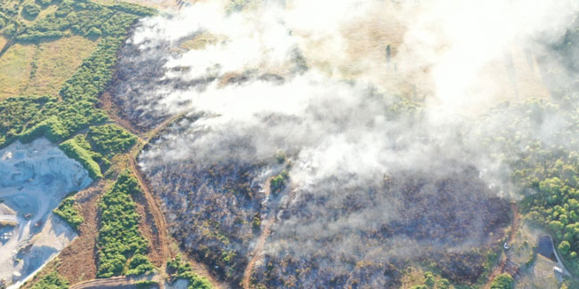 Şili'de orman yangınları kontrol altına alınamıyor