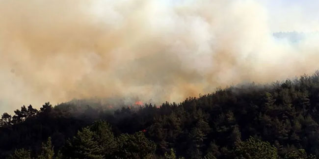 Orman yangınları 11. gününde: 2 ilde 6 orman yangını devam ediyor!