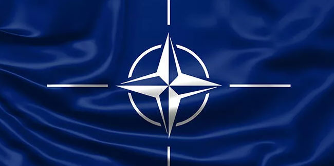 Finlandiya Cumhurbaşkanı: NATO üyesi olmamız için referanduma gerek yok