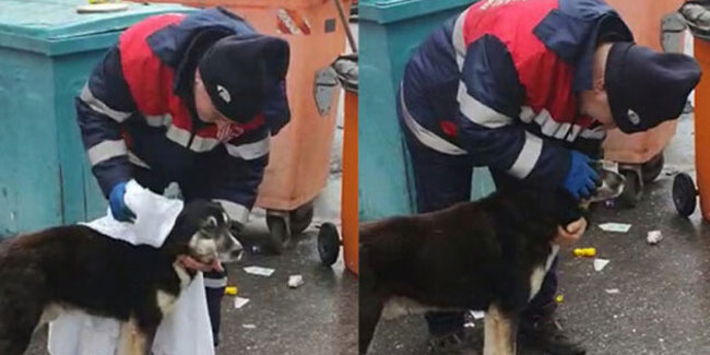 Köpeği kurulayan temizlik işçisinin geçmişinden dram çıktı