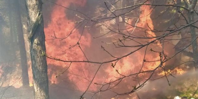 Hatay'da yangın: 6 yayla evi küle döndü