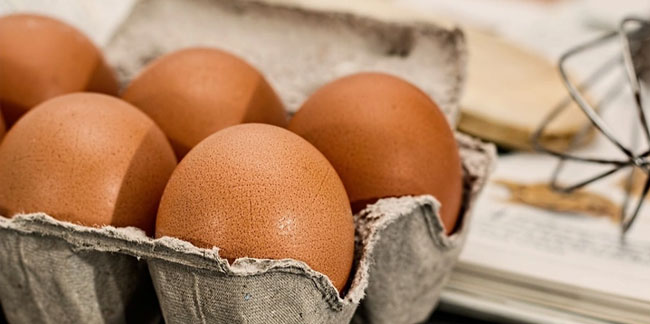 Yumurta fiyatları için kırmızı alarm: Zammın da zammı geliyor!