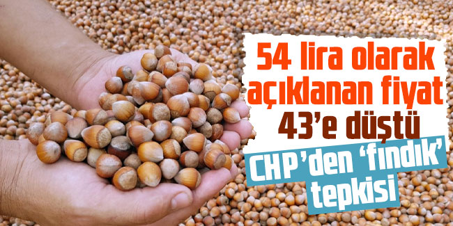 CHP’den ‘fındık’ tepkisi: 54 lira olarak açıklanan fiyat 43’e düştü