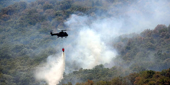 Edirne Valiliği: Bulgaristan sınırındaki yangında tek bir ağacımız yanmadı
