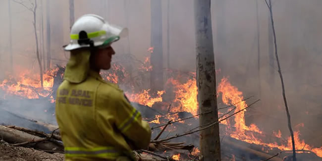 Australya yangınları: Morrison'dan 'hatalar yaptım' itirafı