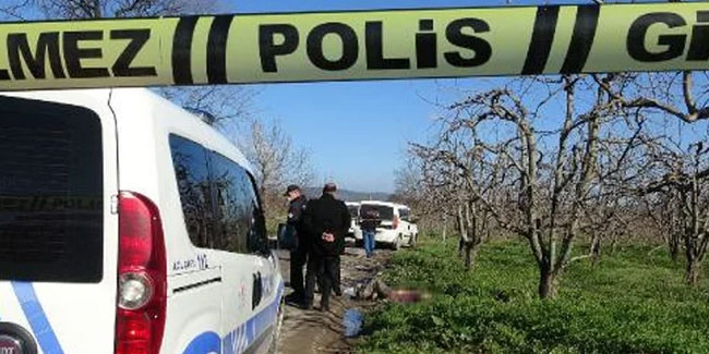 Bursa'da yol kenarında ceset bulundu! Cinayet şüphesi var