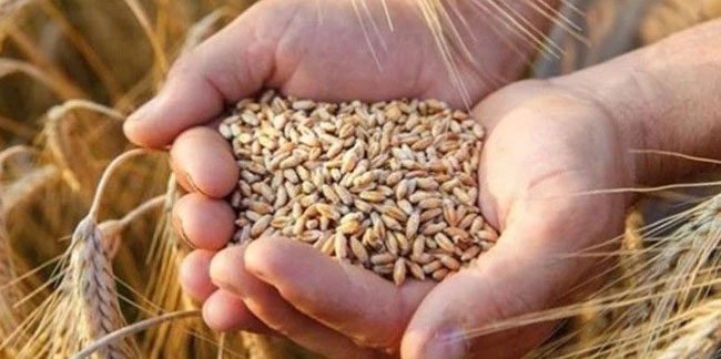 Türkiye en fazla buğday ithal eden 3. ülke