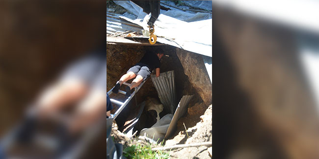 Bolu’da, 3 metrelik çukura düşen ineği itfaiye kurtardı