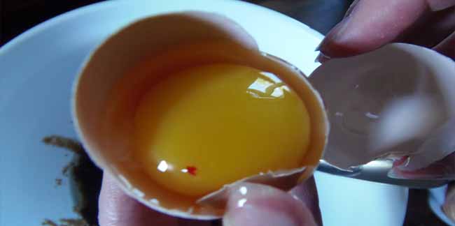 Kırmızı Lekeli Yumurta Sağlıklı mı?