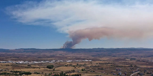 Bolu'da orman yangını çıktı! Yoğun duman birçok noktadan görülüyor