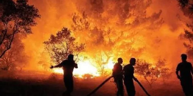 Muğla’daki yangın şüphelilerine ilişkin yeni gelişme