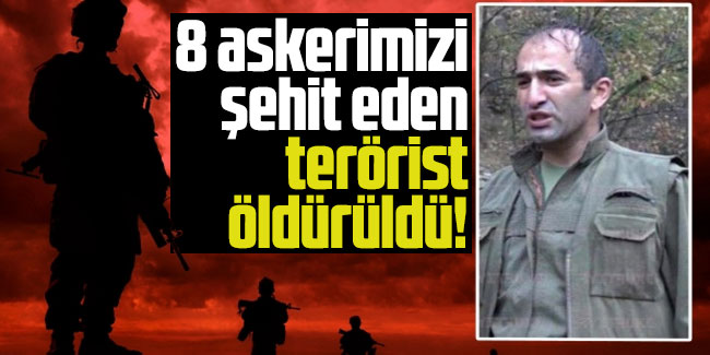 8 askerimizi şehit eden terörist öldürüldü!
