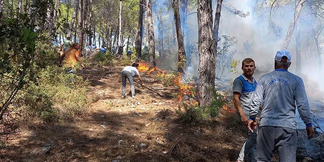Antalya'nın Kumluca ve İzmir'in Bergama ilçesinde orman yangını