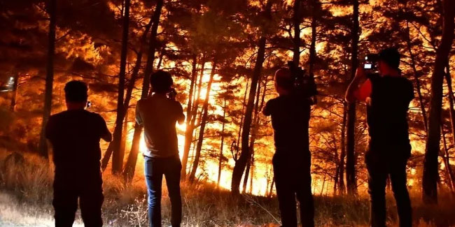 Hatay ve Mersin'de orman yangını