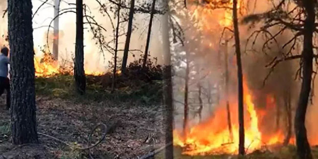 Tokat’ta aynı yerde ikinci kez orman yangını çıktı