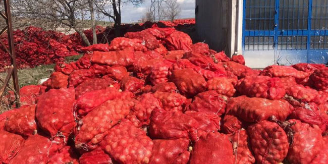 Başkent'te yol kenarına atılmış yüzlerce çuval soğan bulundu