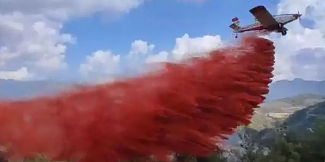 Adana'da iki mahallede orman yangını! Müdahale sürüyor
