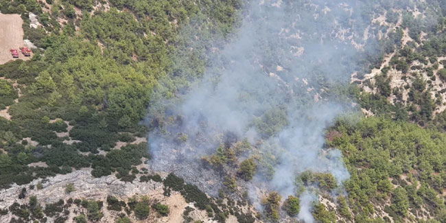Manisa'da orman yangını... Havadan müdahale ediliyor