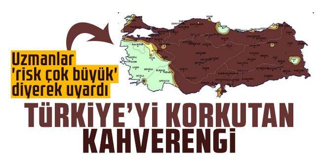 Uzmanlar 'risk çok büyük' diyerek uyardı: Türkiye'yi korkutan kahverengi