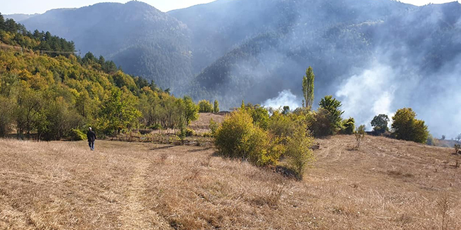 Kastamonu’daki orman yangınları söndürüldü