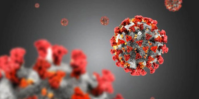 Eris virüsü belirtileri neler, en yaygın belirtisi nedir? Eris virüsü nasıl bulaşır?