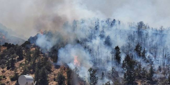 Azerbaycan’da ormanlık alanda yangın