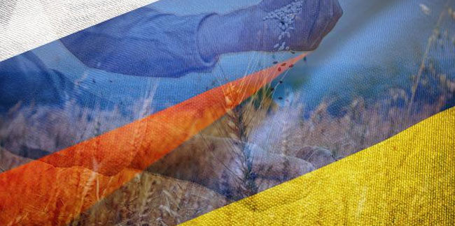 Kremlin'den tahıl koridoru açıklaması: Rusya garanti veremez
