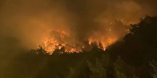 Bartın’da orman yangını: 4 kişi gözaltına alındı