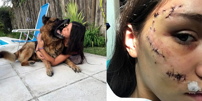 Köpekle fotoğraf çekmek isteyen genç kız yaralandı